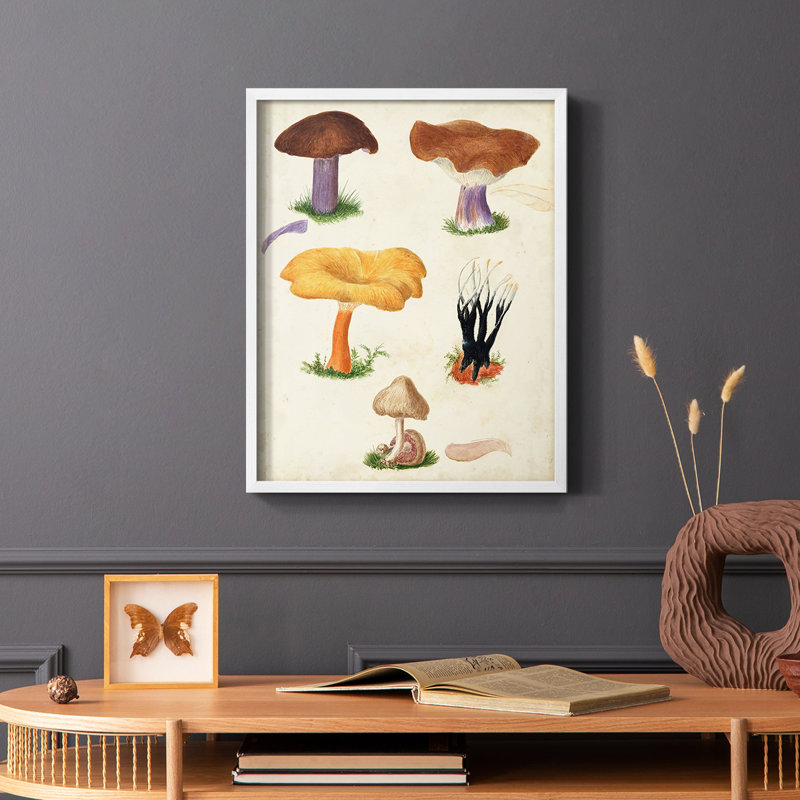 Reproduction encadrée Mushroom Species VII - bois massif, Blanc, H 28 po x l 22 po