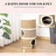 Cat Hideaway, Cat Condo
