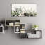 «Soft Succulents II» par Lori Deiter, art mural en verre acrylique-165922967