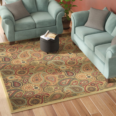 Non-Slip Paisley Area Rug For Living Room, Hallway Runner, Entryway Rug