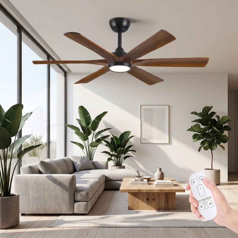 Ceiling Fan