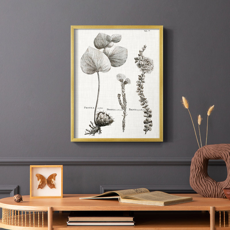 «Black & White Protea on Linen II», reproduction encadrée - bois massif, H 20 po x l 16 po