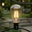 Ener-J LED Filament Festoon String Light Kit 10.2m Warm White includes 10 x 2W Filament LED Lamps