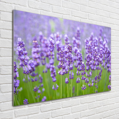 Lavender - No Frame Print on Glass