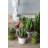 Landscape & Nature Figurines & Sculptures-338451218
