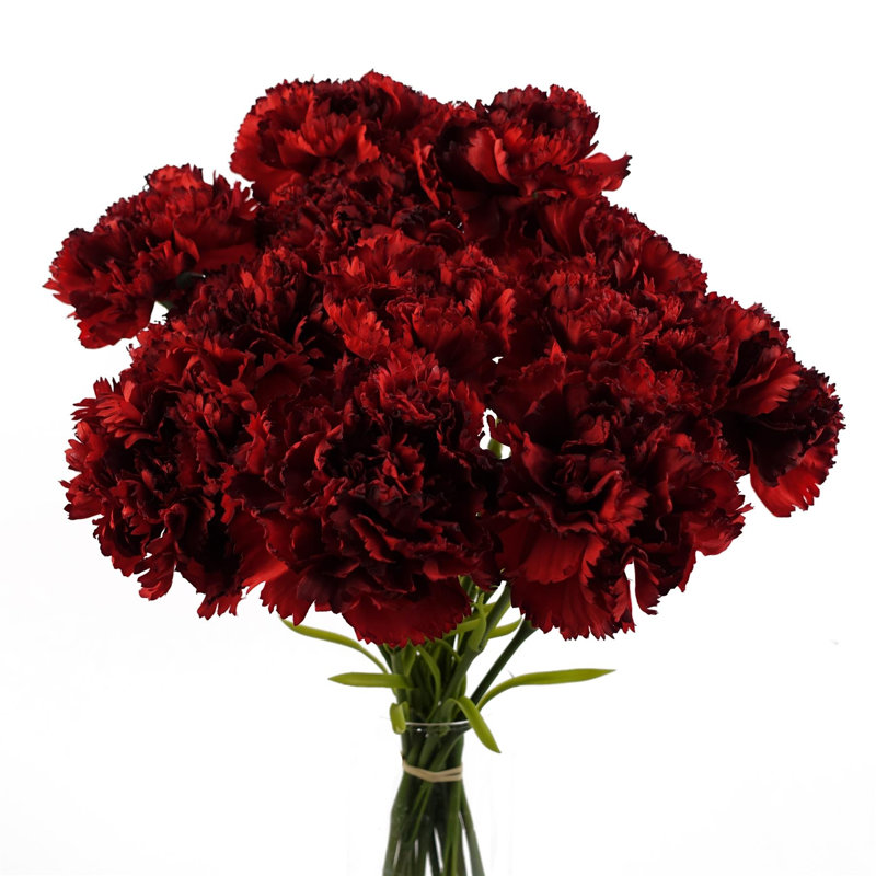 Plastic, Silk Artificial Arrangement, Red