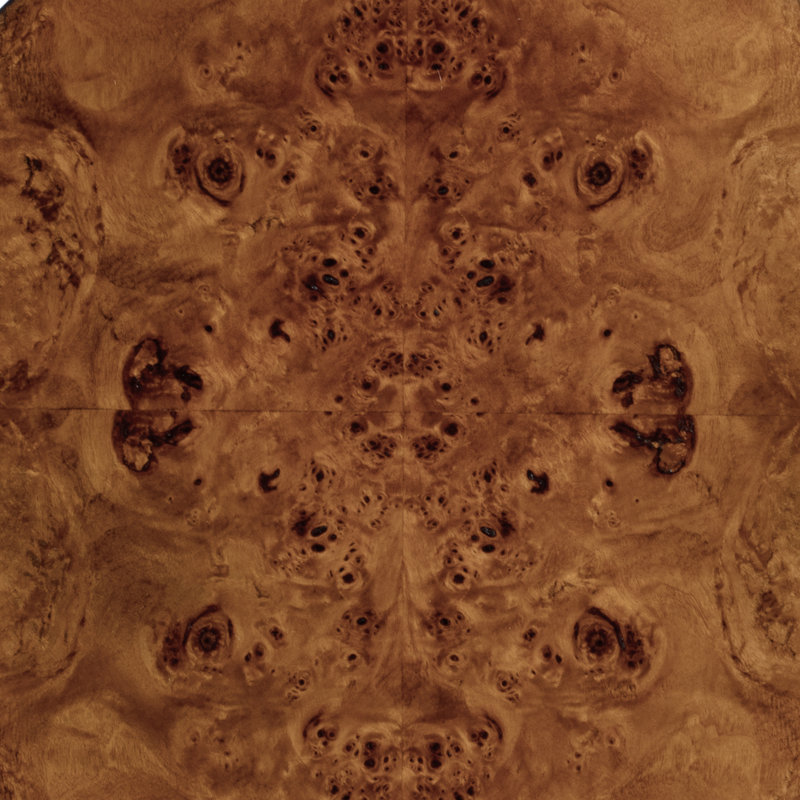 Archer 1 Drawer Burl Side Table, Honey 
