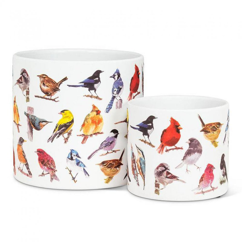 Briawna Ceramic Cachepot, 6" H x 6.5" W x 6.5" D