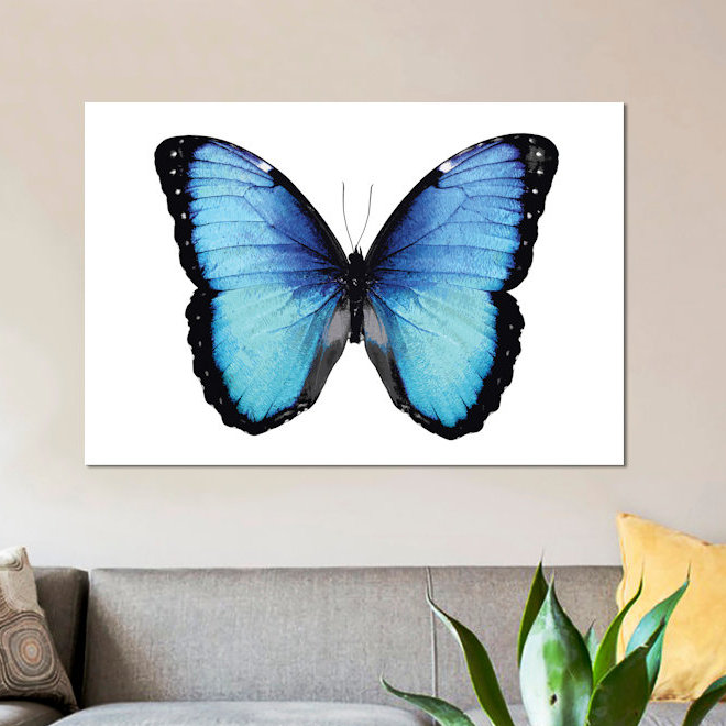 « vibrant papillon ii », reproduction d’art sur toile, H 18 po x l 26 po x P 1,5 po