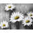 Daisies Polyester Placemat - White American Flowers Decor