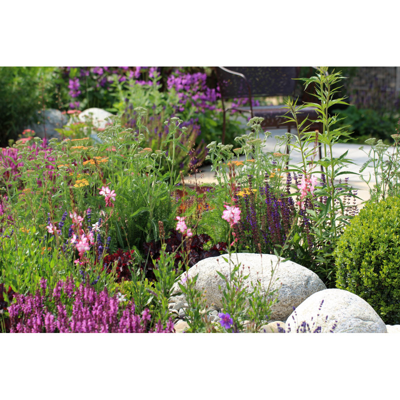 Jardin de fleurs d'été par Fotolinchen, H 8 po x l 12 po