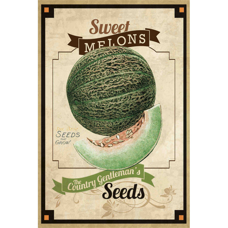 « seed paquet melon », reproduction d’art sur toile tendue, H 18 po x l 12 po