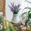 Vase de table Lockway-1830927042