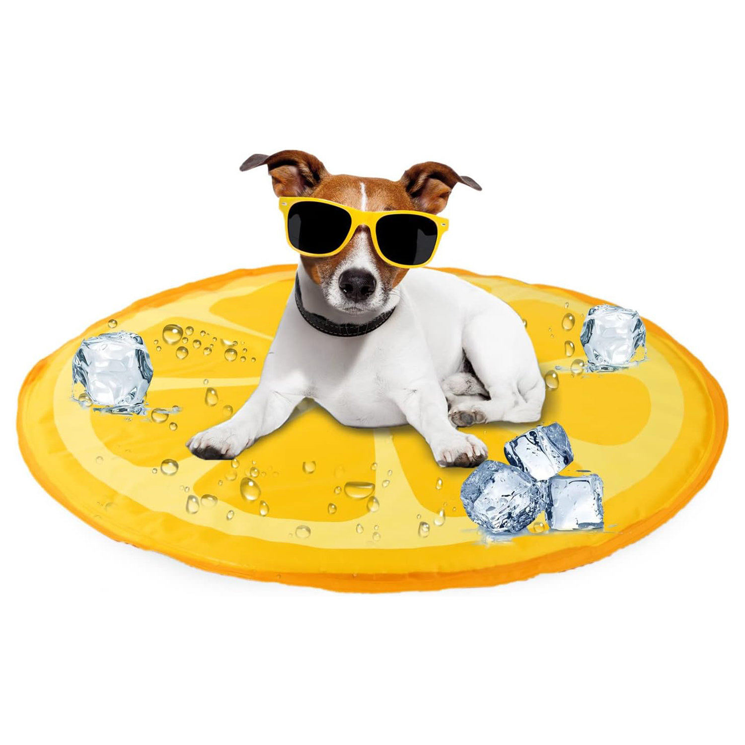 Tucker Murphy Pet™ Pet Dog Cat Cooling Mat Pad Bed Orange Wayfair