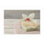 No Frame Print on Canvas-431480478