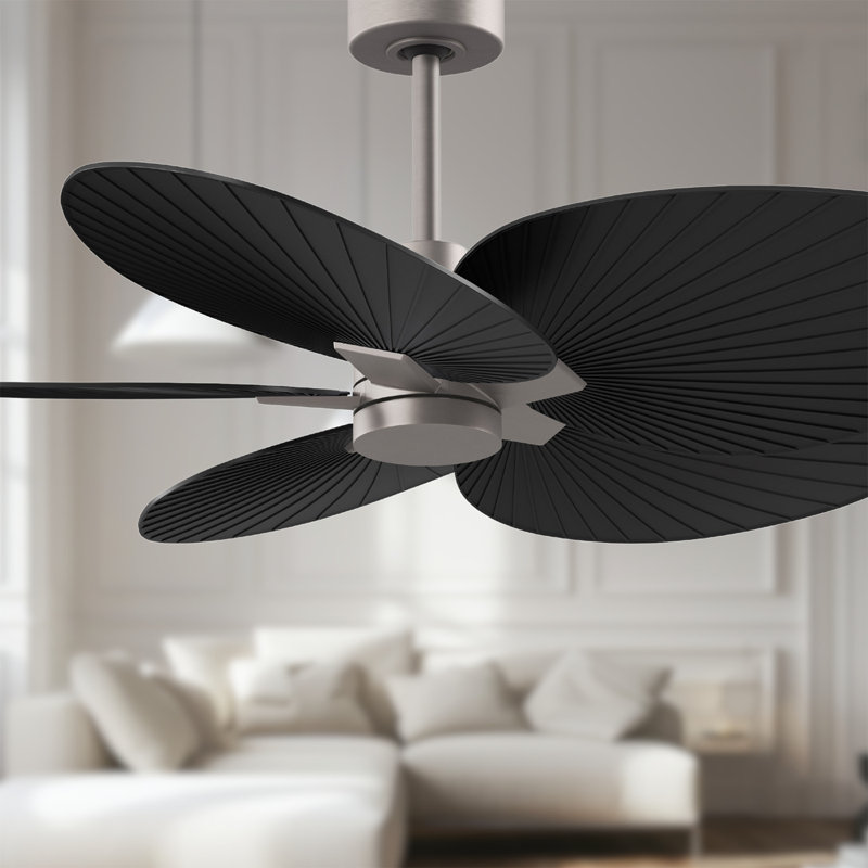 Alessandra Tropical - Five Blade Ceiling Fan - Matte White Finish - Matte White Blades, Matte Black, Brushed Nickel