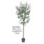 Olive artificielle en pot-748669067