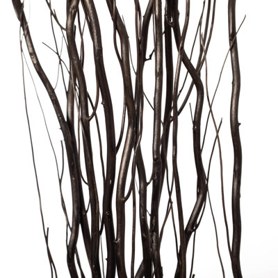 Seaford Willow Branches