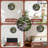 Zen Garden Stone Path Wall Clock