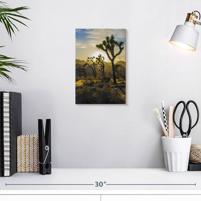 Harnek Joshua Tree Park Desert Field, 12" H x 8" W