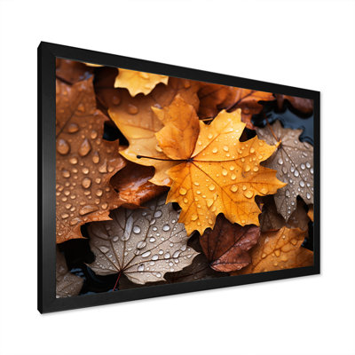 «Yellow and Orange Autumn Mapple Leaves 4», art mural érable