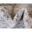 Tapis oriental Gabbs-805639437
