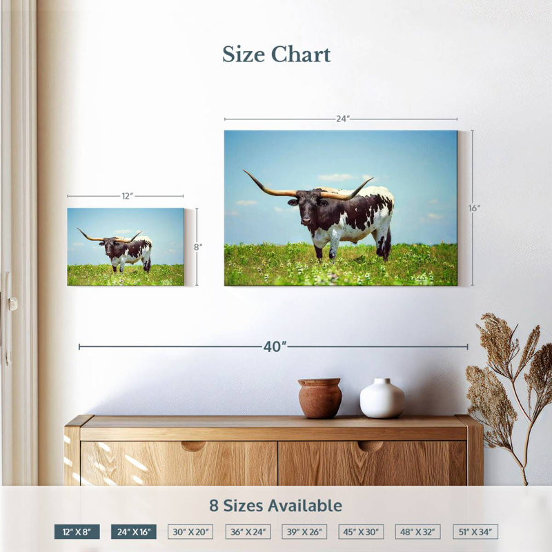 Brampt Longhorn Steer, 16" H x 24" W