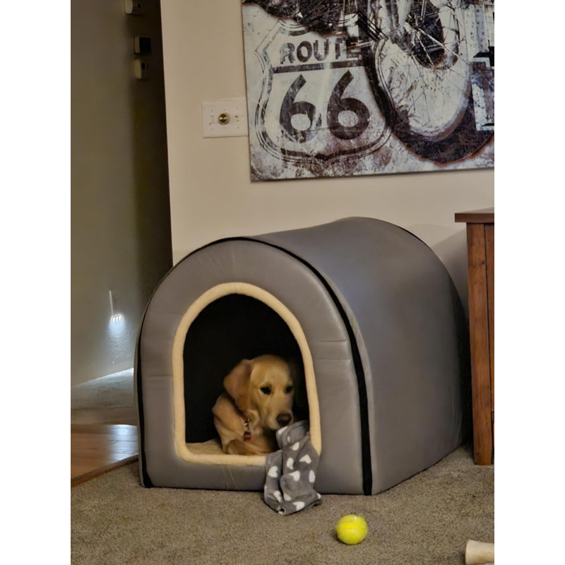 Snapshot of Interior Pet Space With Removable Wall