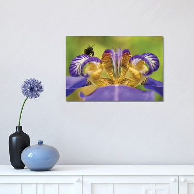 Bee on Purple Flower 1 Piece Wrapped Canvas Wall Art