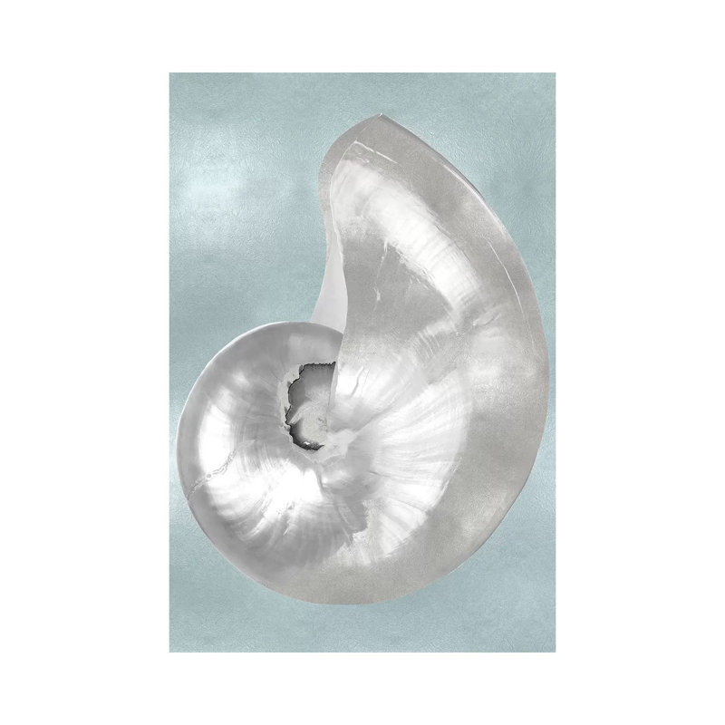 Silver Shell On Aqua Blue I by Caroline Kelly - Wrapped Canvas Gallery-Wrapped Canvas Giclée