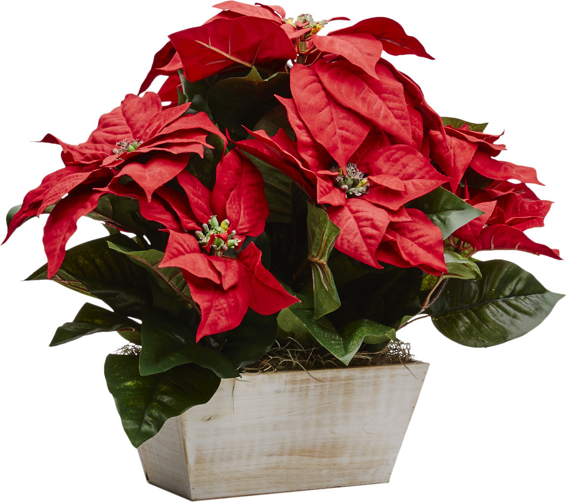 Poinsettia Floral Arrangement