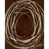 Nested Feathers I Print