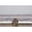 Callison Area Rug-296357448
