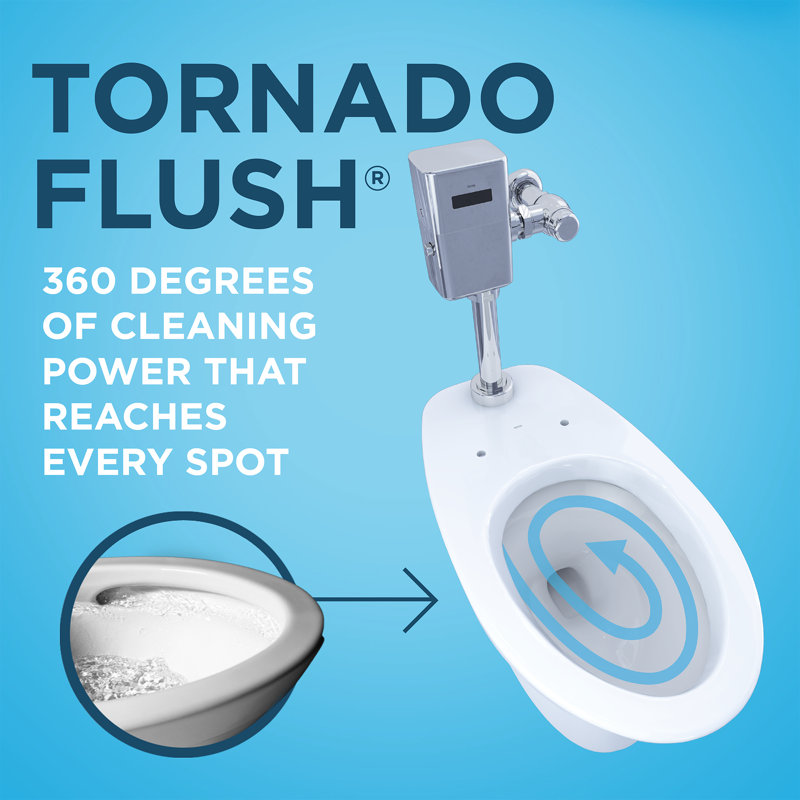 Tornado Flush Commercial Flushometer Floor-Mounted Toilet, Elongated, Cotton White