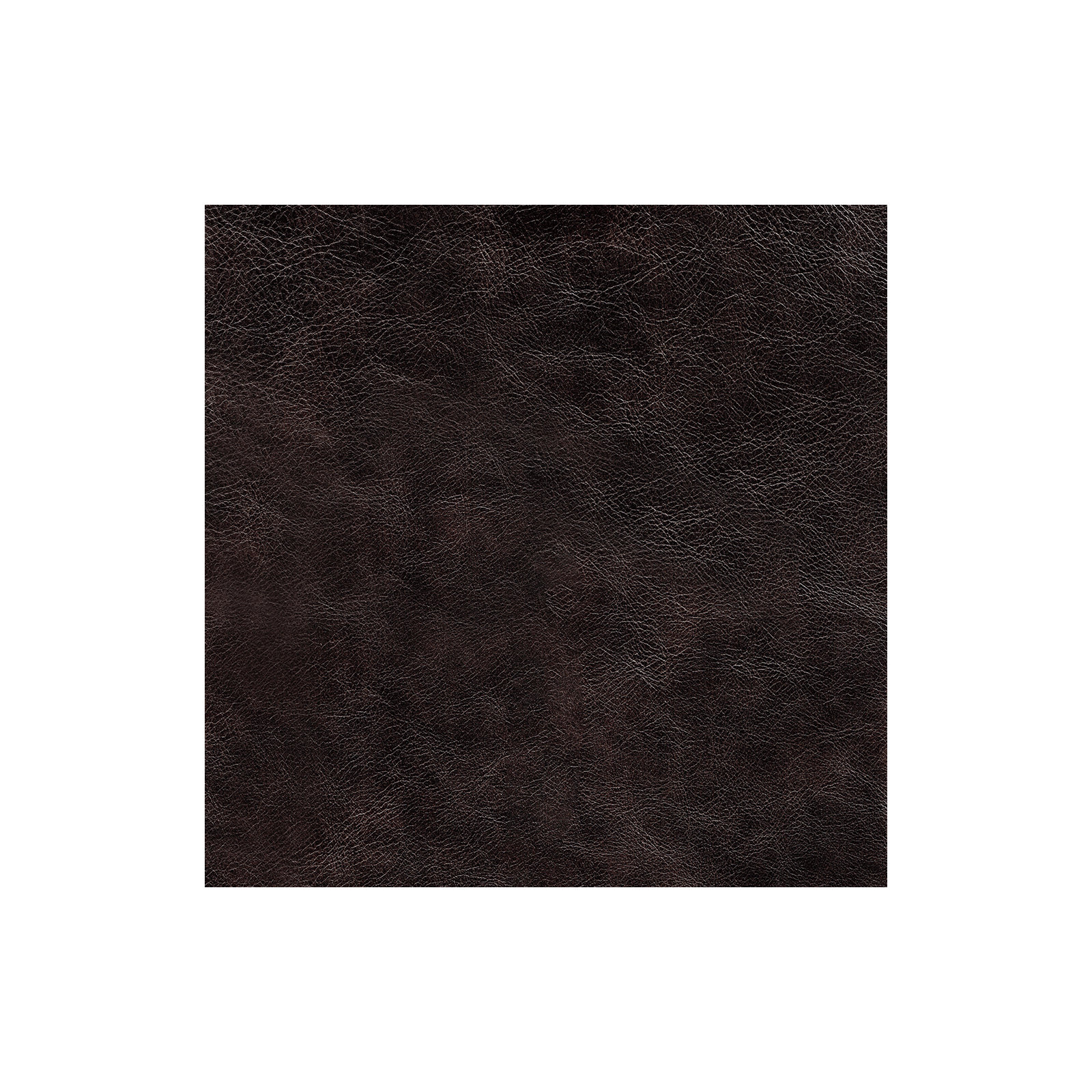 Tryston Top Grain Leather Sofa Couch