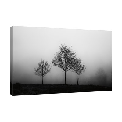 «In The Fog», toile tendue par Aledanda