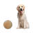 Janig Decorative Plate - Set of 1