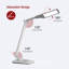 Lampe de bureau 17,2 po argent USB
