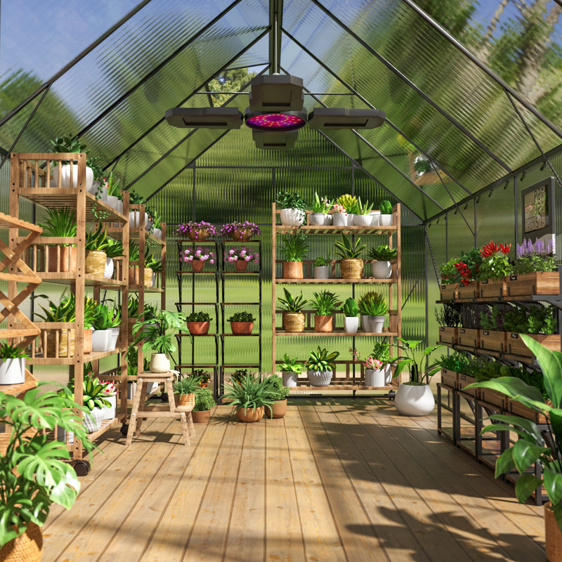 Serre en acier 6 x 12 pour le jardin, la cour arrière avec ventilation réglable et ensembles de portes à charnières verrouillables