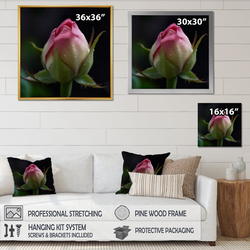 «Delicate Pink Rose Bud Iin the Early Morning», reproduction sur toile, Cadre simple blanc, H 30 po x l 30 po x P 1 po