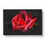 Red Rose Flower Vol.4 - Wrapped Canvas-61882948