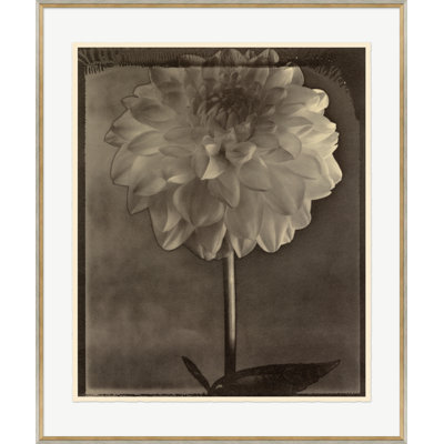 Sepia Flowers 6 Print by Bespoke By Baker
