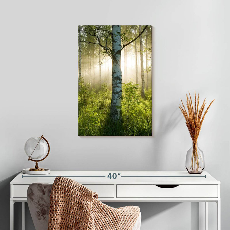 Harnek Sunlit Birch Tree, 24" H x 16" W