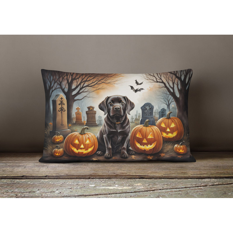Other/No Pattern Outdoor Throw Pillow