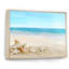 Paysage avec coquillages sur une plage tropicale - photographie sur toile-67465925-67465927