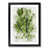 Black Framed selected