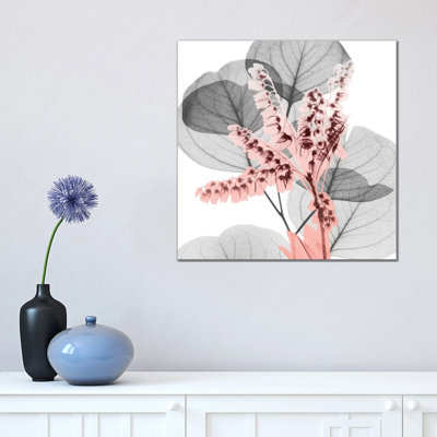 Eucalyptus Blush I by Albert Koetsier - Wrapped Canvas Painting