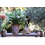 Vase de jardin en céramique émaillée, petit pot de fleurs (lot de 2) - Intérieur/Extérieur