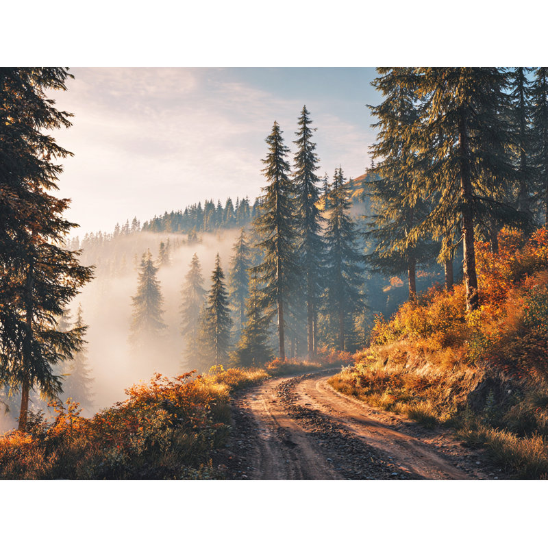 «Misty Pine Path Sunrise», art mural sur toile tendue, H 24 po x l 36 po