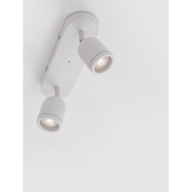 Delidle Spotlight